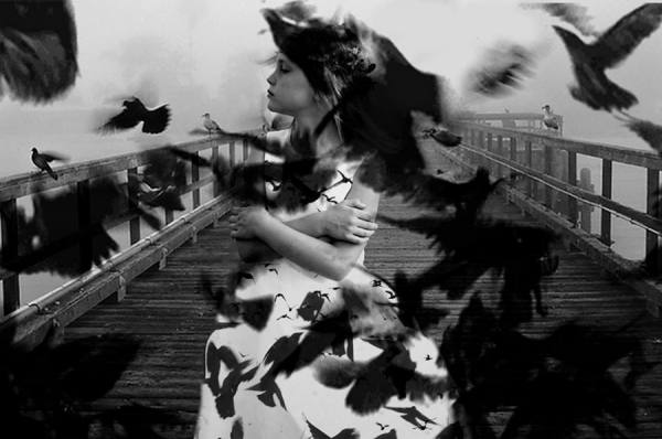 Photograph Anna Ajtner Birds on One Eyeland